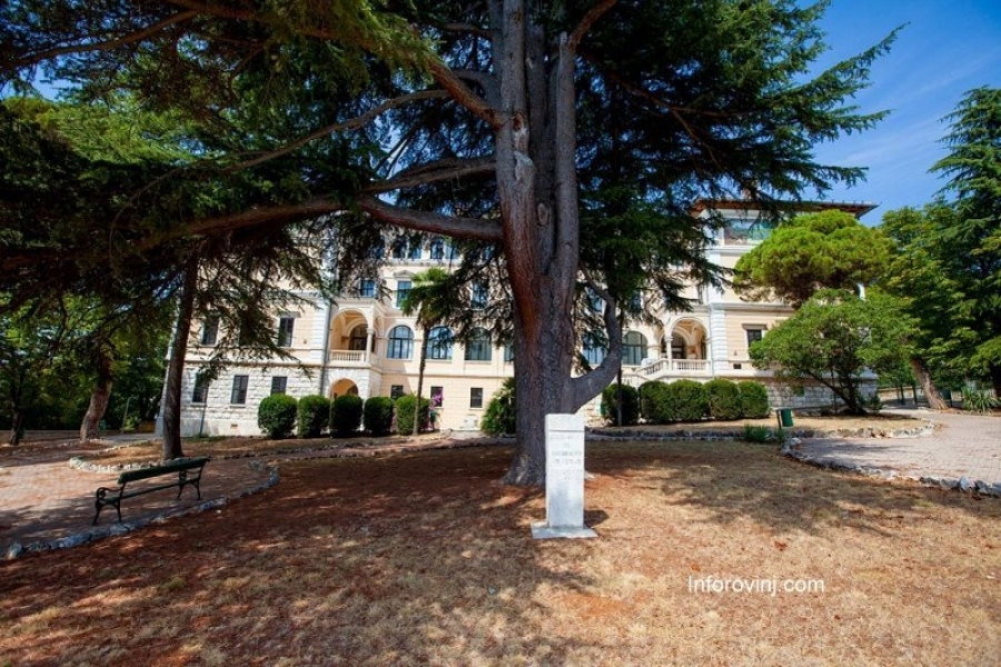 Riunione dei genitori-consegna delle pagelle