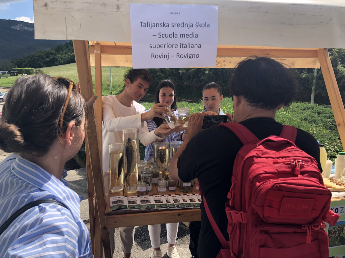 FESTIVAL DELLA TERRITORIALITA' A PINGUENTE