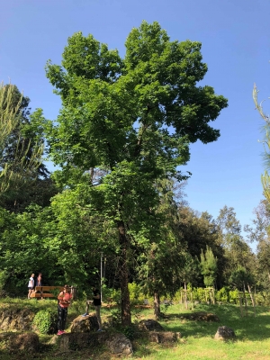 Lezione di biologia all'aperto