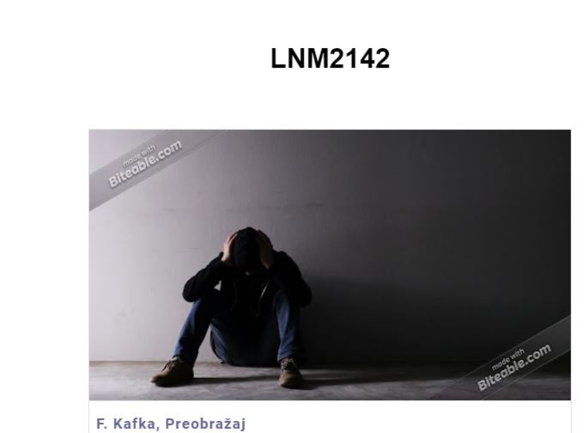 Un successone al concorso "Letture in rete-Lektira na mreži"