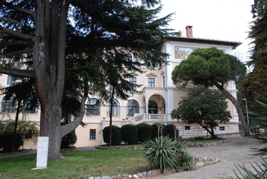 Sessione autunnale delle iscrizioni alle prime classi (anno scolastico 2015/2016)