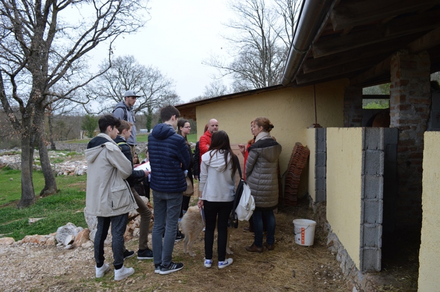 A lezione di ippoterapia a Moncerlongo